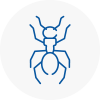 Ant Removals In Bridgnorth