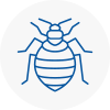 Bed Bug Extermination In Bridgnorth