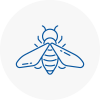 Bee Nest Removal Bridgnorth