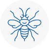 Bridgnorth Hornet Nest Removals