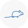 Mice Exterminators In Bridgnorth