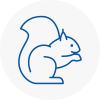 Bridgnorth Rodent Removals